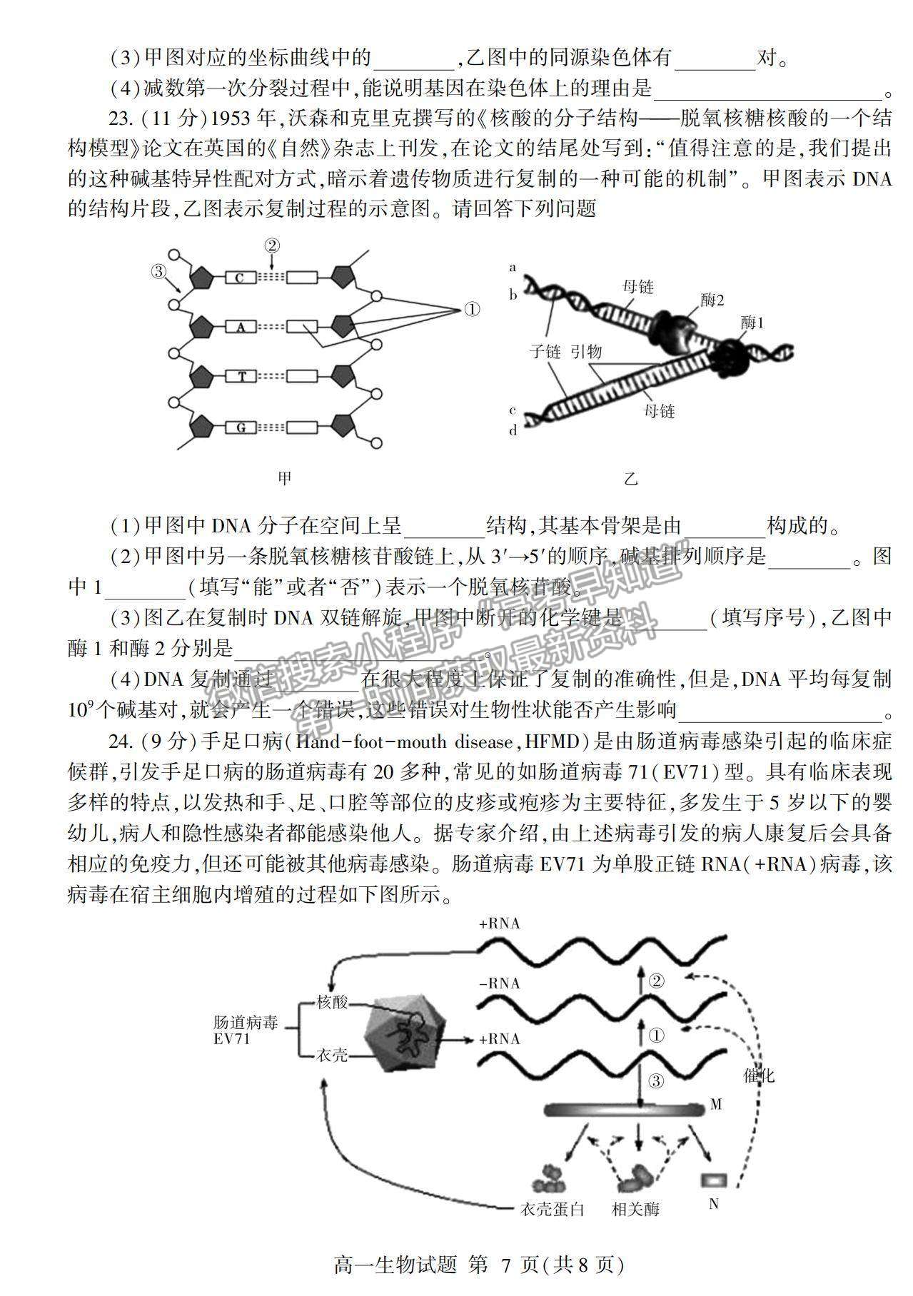 2021山東省臨沂市蘭山區(qū)、蘭陵縣高一下學期期中考試生物試卷及答案