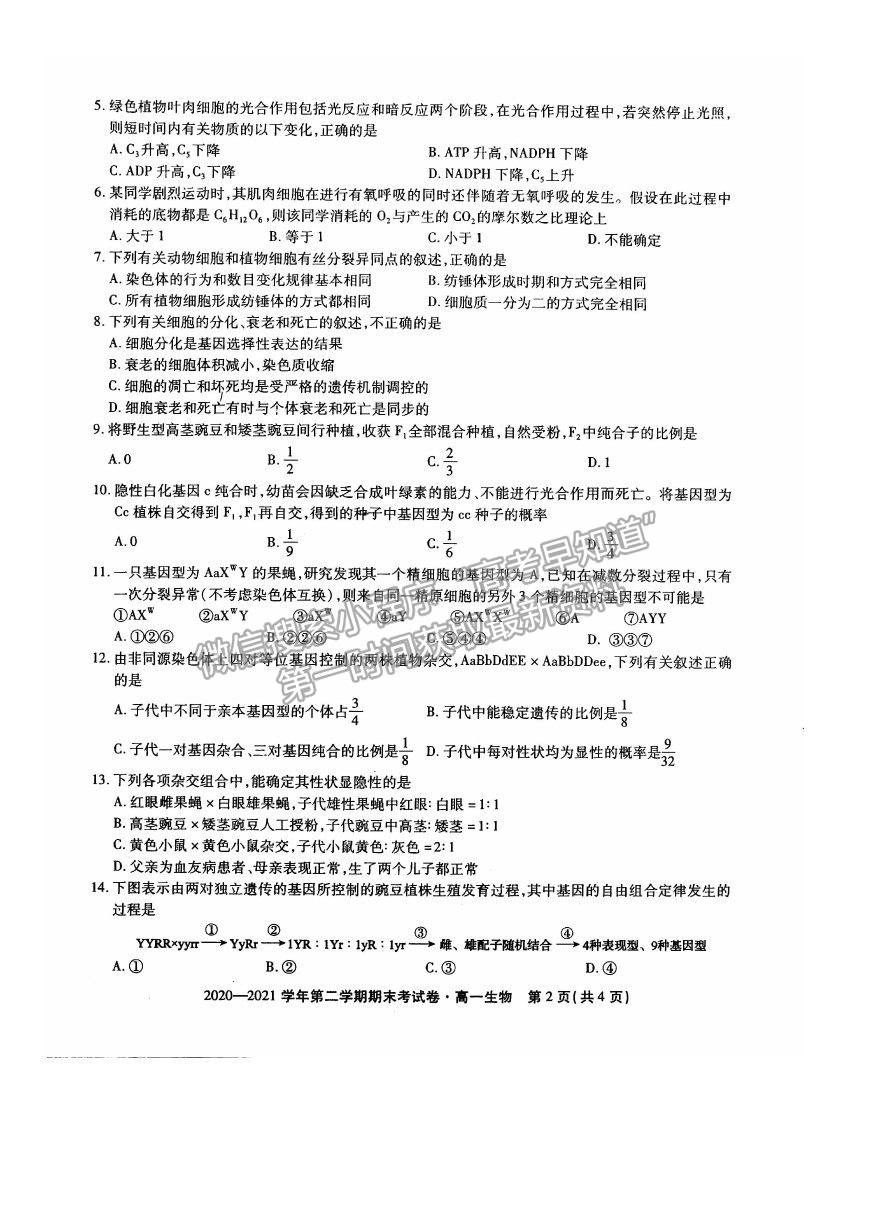 2021安徽省池州市東至縣二中高一下學(xué)期期末考試生物試卷及答案