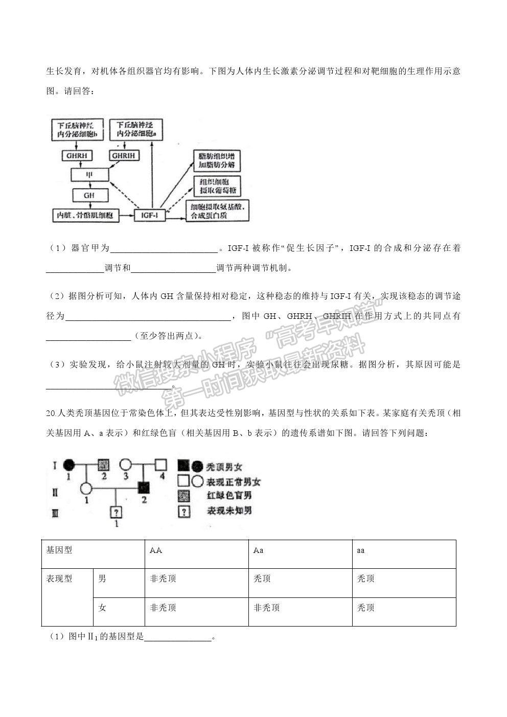 2021廣東省梅州市豐順縣高三第一次質(zhì)檢生物試卷及答案