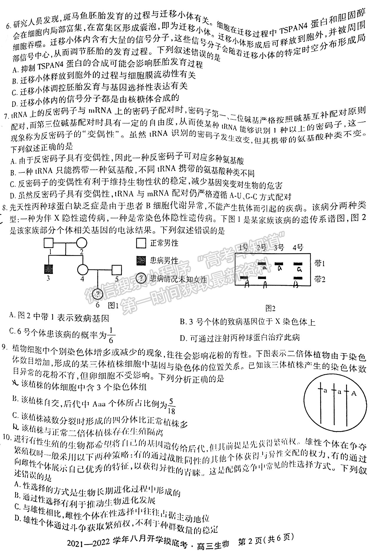 2022安徽五校聯(lián)盟高三開學(xué)考試生物試卷