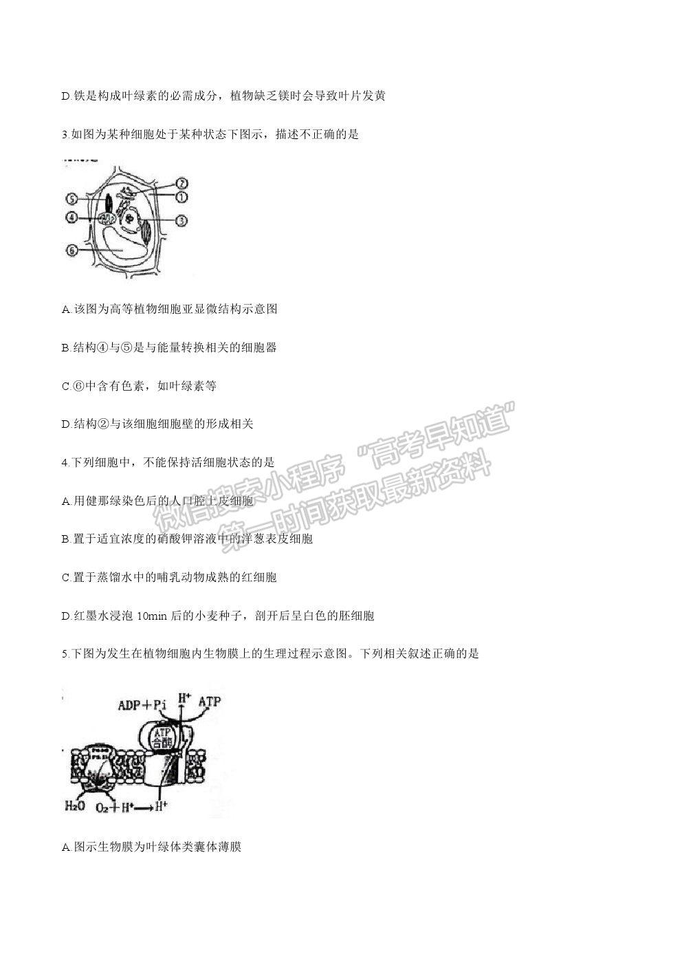 2021廣東省梅州市豐順縣高三第一次質(zhì)檢生物試卷及答案