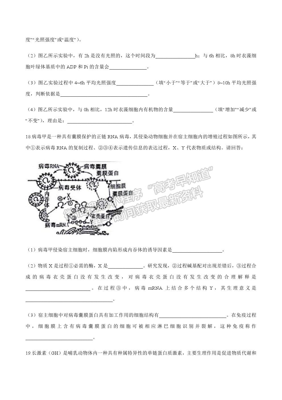 2021廣東省梅州市豐順縣高三第一次質(zhì)檢生物試卷及答案