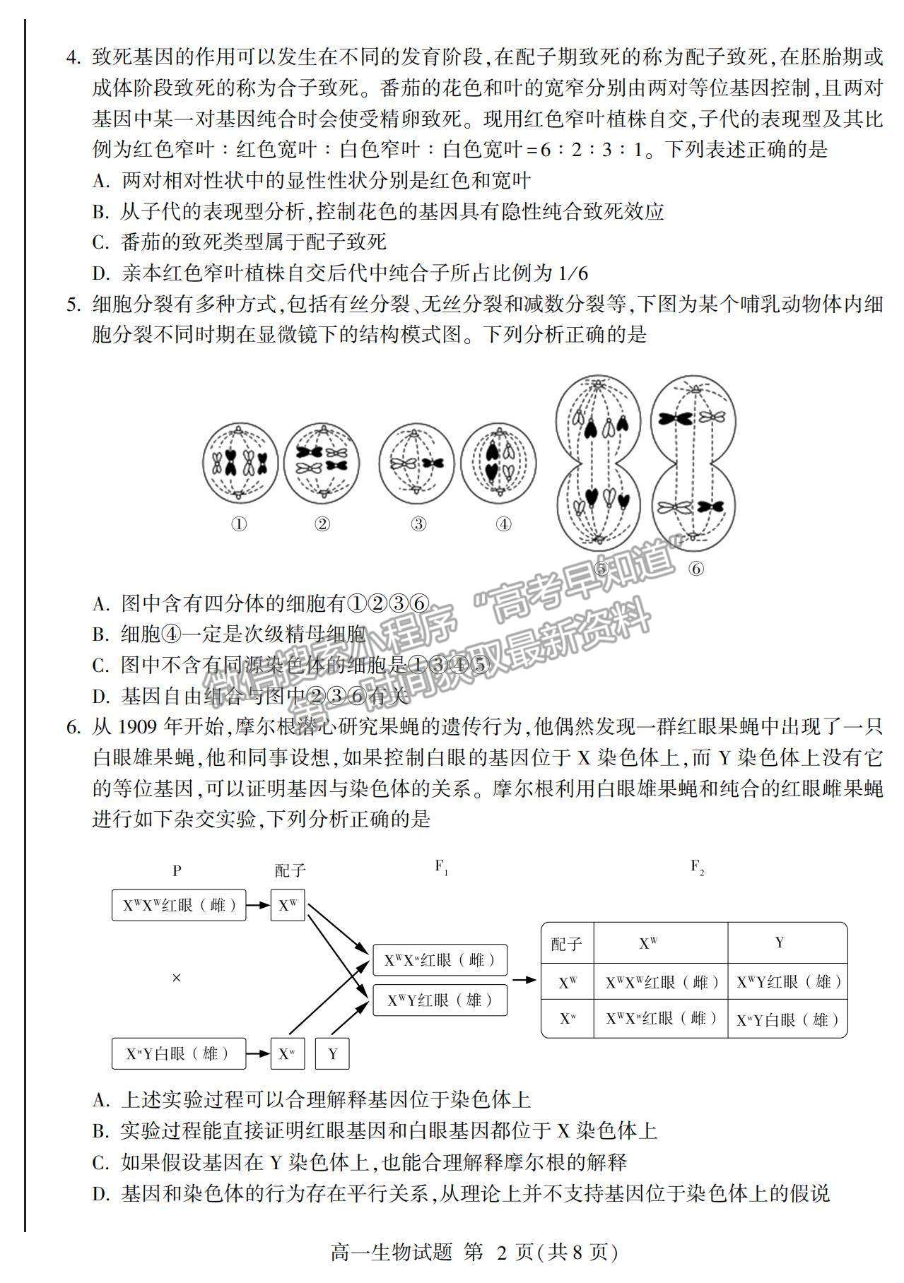 2021山東省臨沂市蘭山區(qū)、蘭陵縣高一下學(xué)期期中考試生物試卷及答案