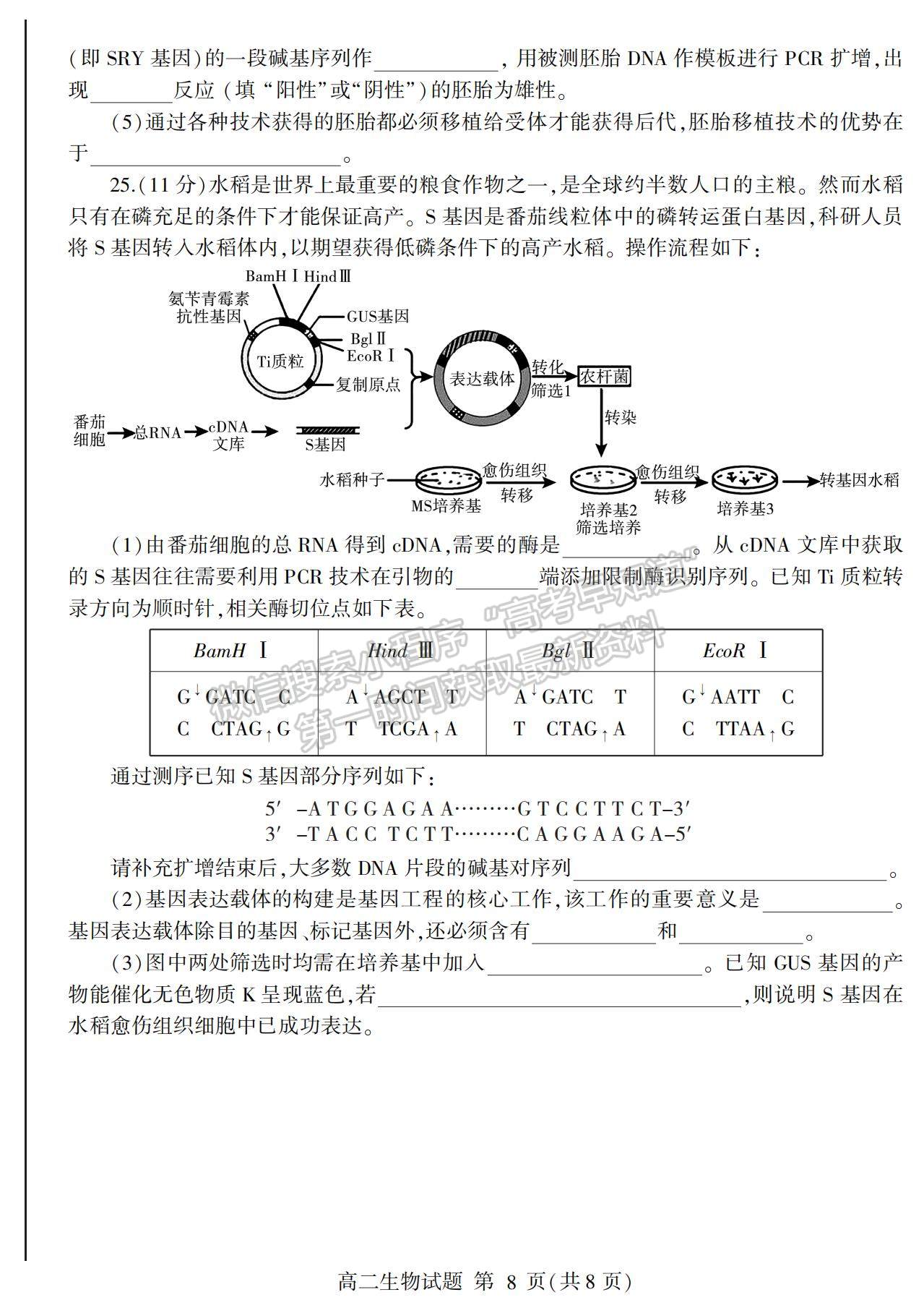 2021山東省臨沂市蘭山區(qū)、蘭陵縣高二下學期期中考試生物試卷及答案