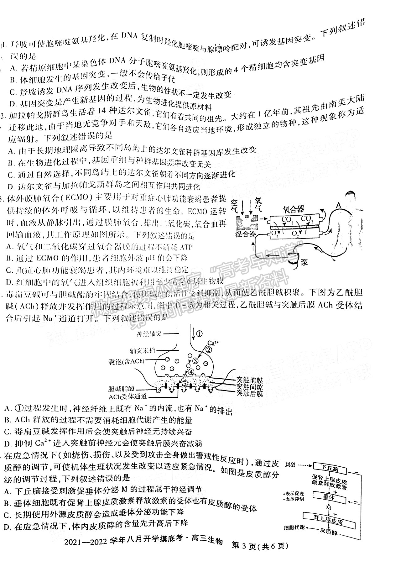 2022安徽五校聯(lián)盟高三開學(xué)考試生物試卷