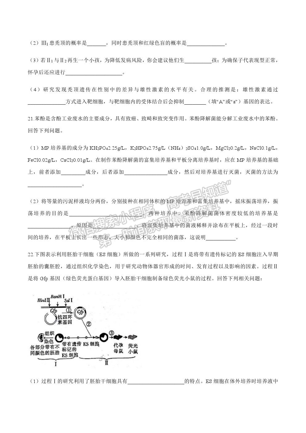 2021廣東省梅州市豐順縣高三第一次質(zhì)檢生物試卷及答案