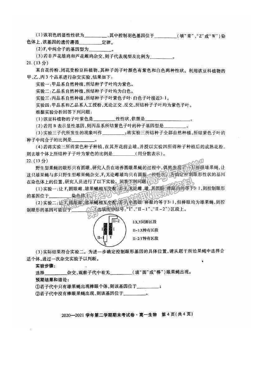 2021安徽省池州市東至縣二中高一下學(xué)期期末考試生物試卷及答案