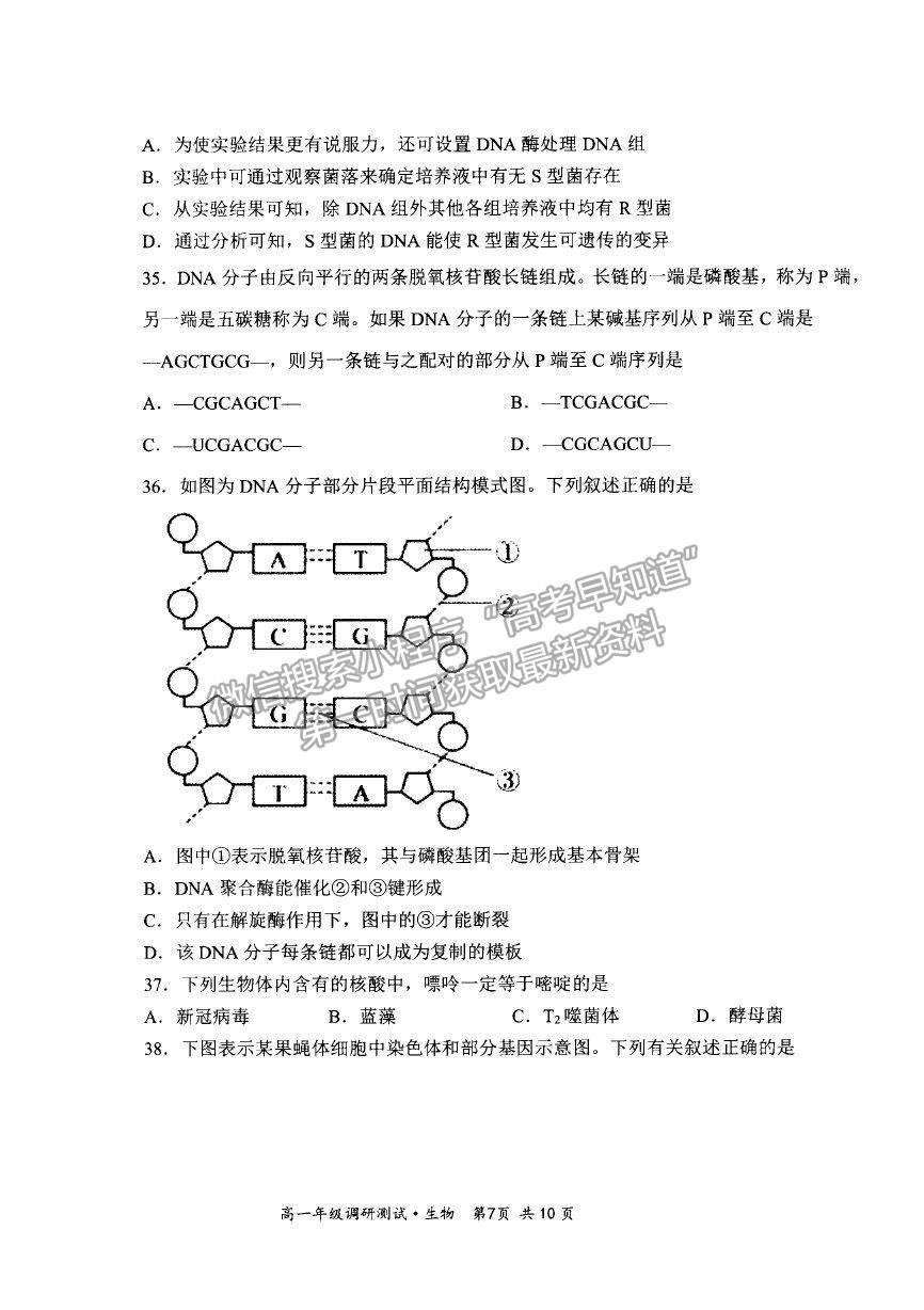 2021山西省朔州市懷仁市高一下學(xué)期期末考試生物試卷及答案