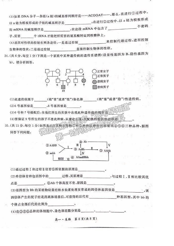 2021長春市九臺(tái)區(qū)師范高級(jí)中學(xué)高一下學(xué)期期末聯(lián)考生物試題及參考答案