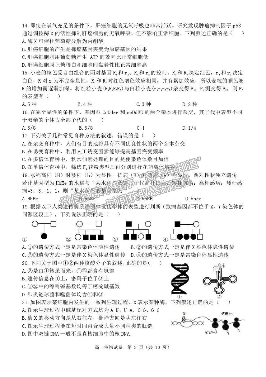 2021黑龍江省齊齊哈爾市高一下學(xué)期期末考試生物試題及參考答案