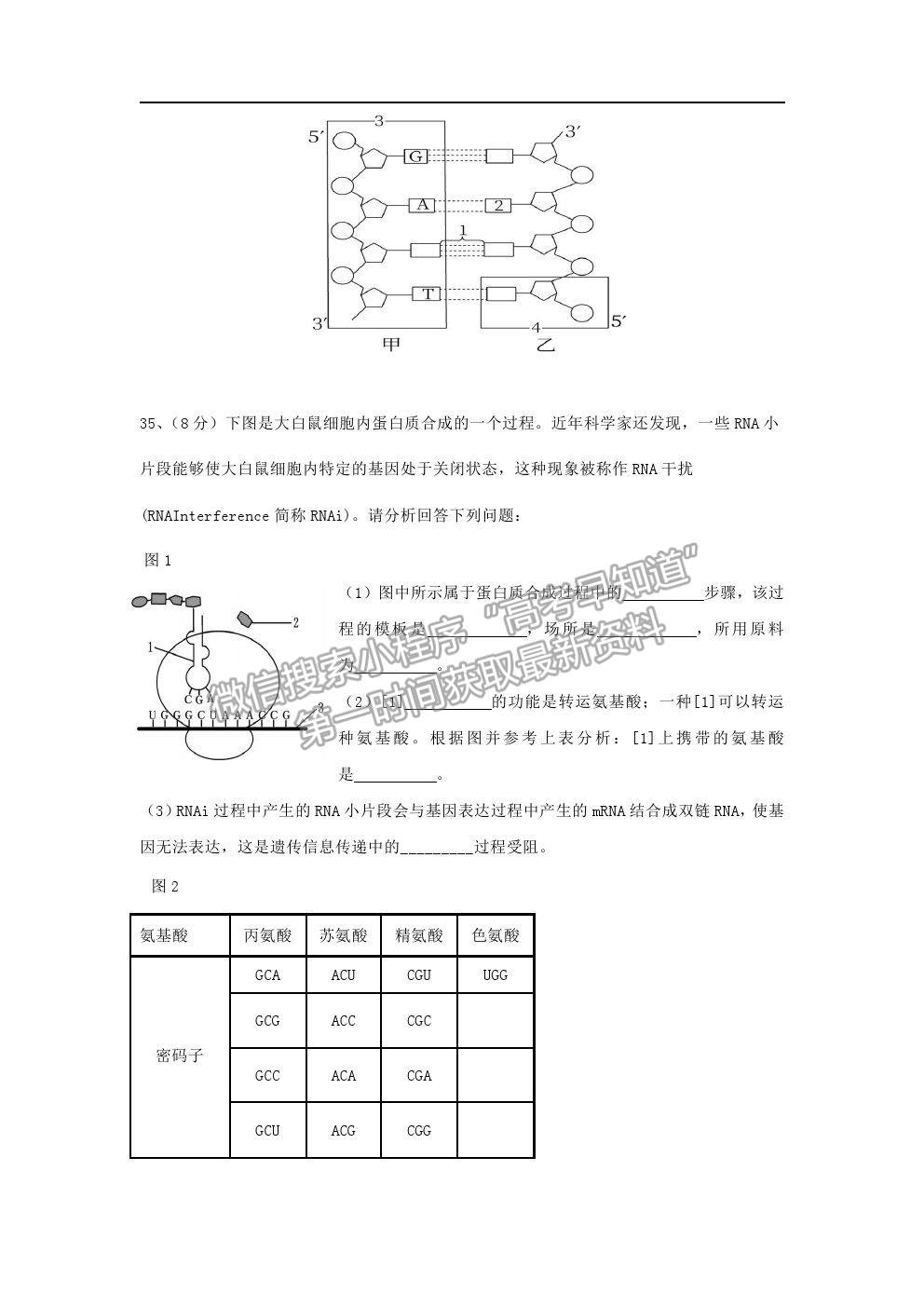 2022長春市九臺區(qū)師范高級中學高二上學期期初考試生物試題及參考答案