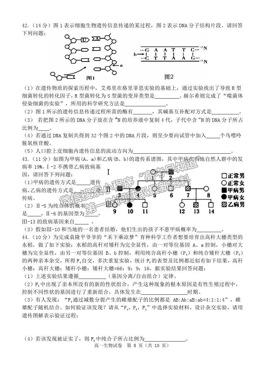 2021黑龍江省齊齊哈爾市高一下學(xué)期期末考試生物試題及參考答案