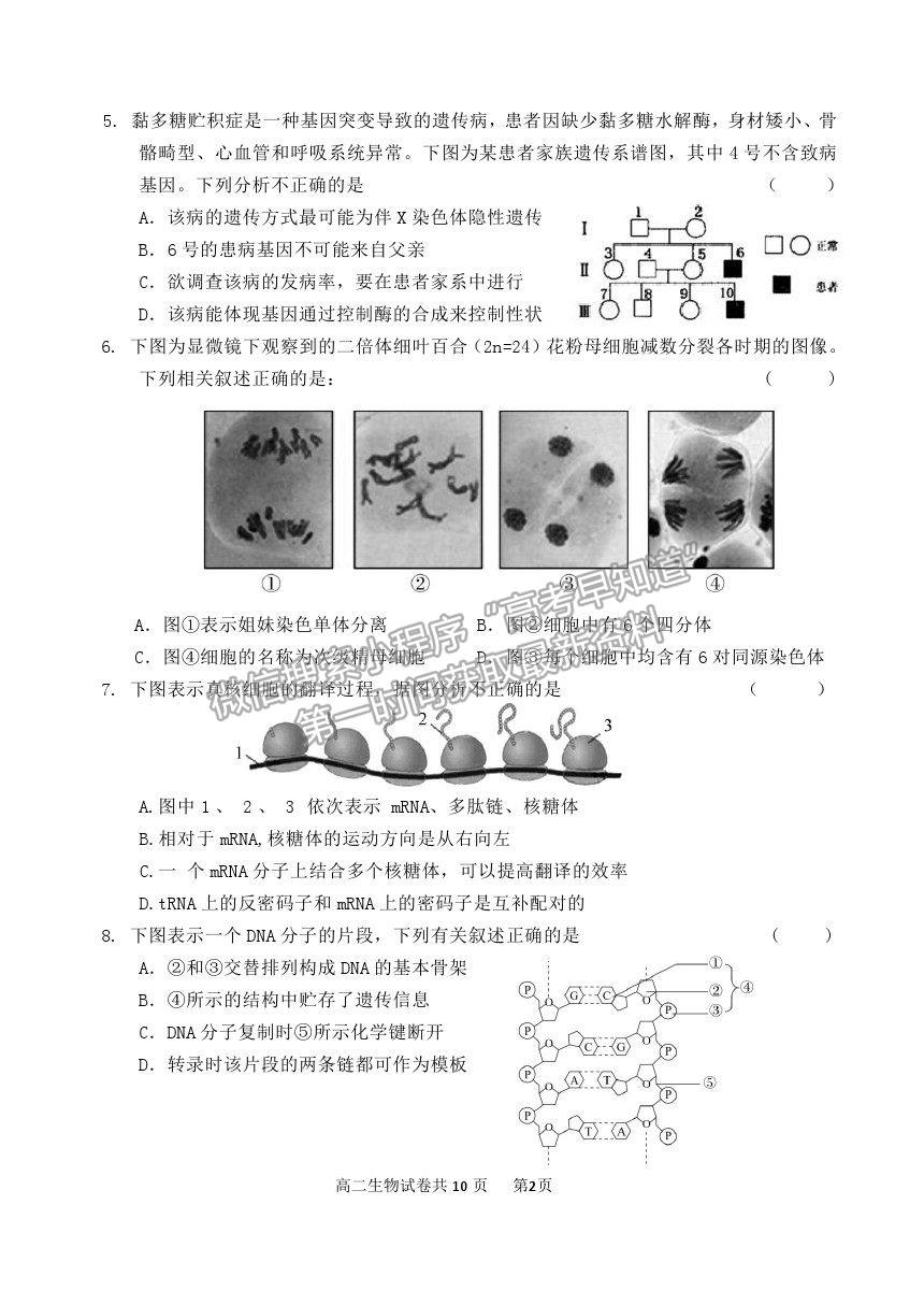 2021北京市延慶區(qū)高二下學期期末考試生物試題及參考答案