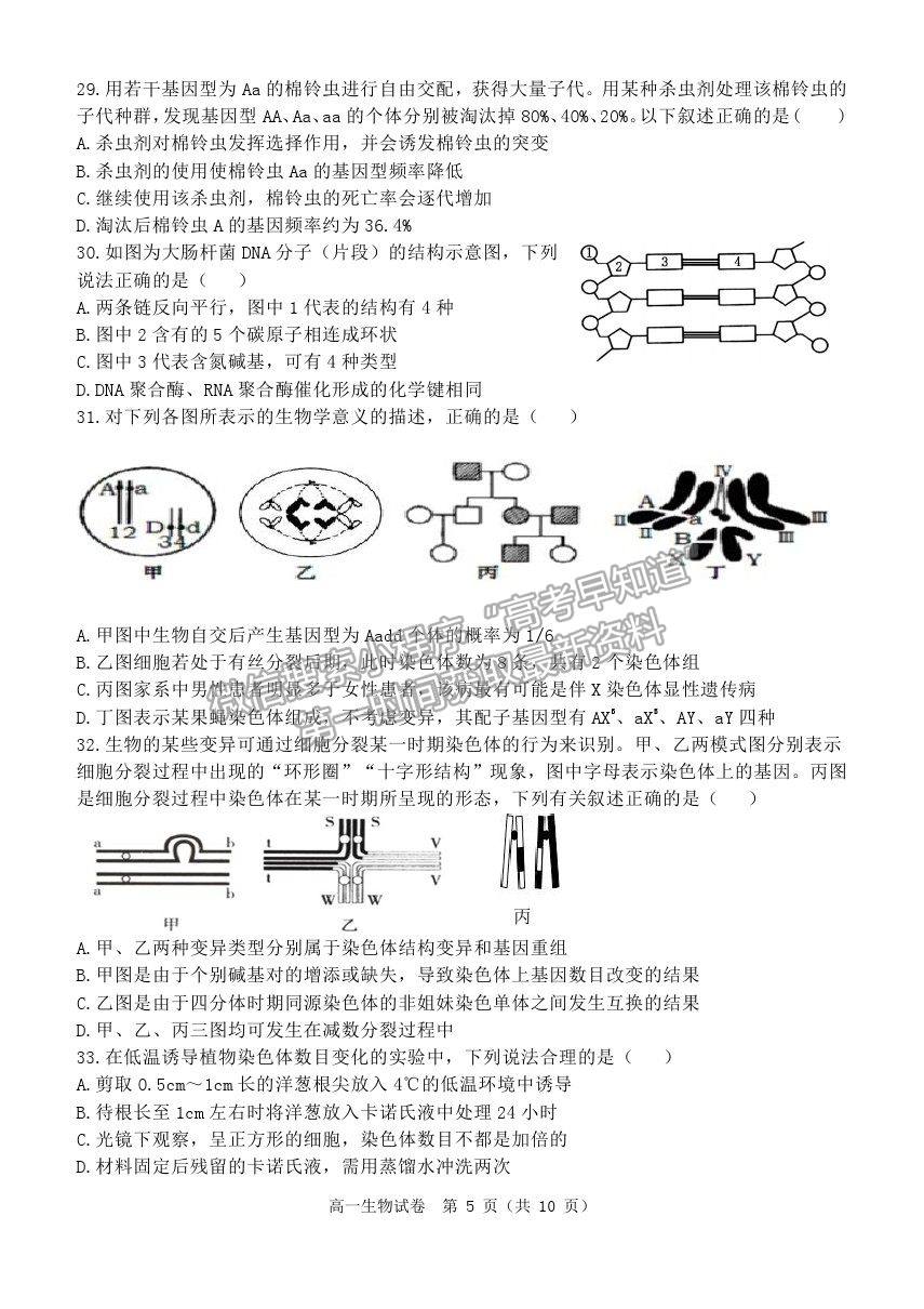 2021黑龍江省齊齊哈爾市高一下學(xué)期期末考試生物試題及參考答案