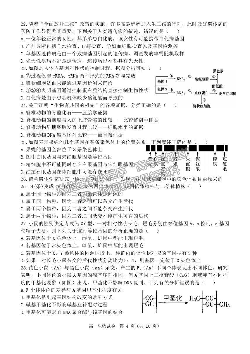 2021黑龍江省齊齊哈爾市高一下學(xué)期期末考試生物試題及參考答案