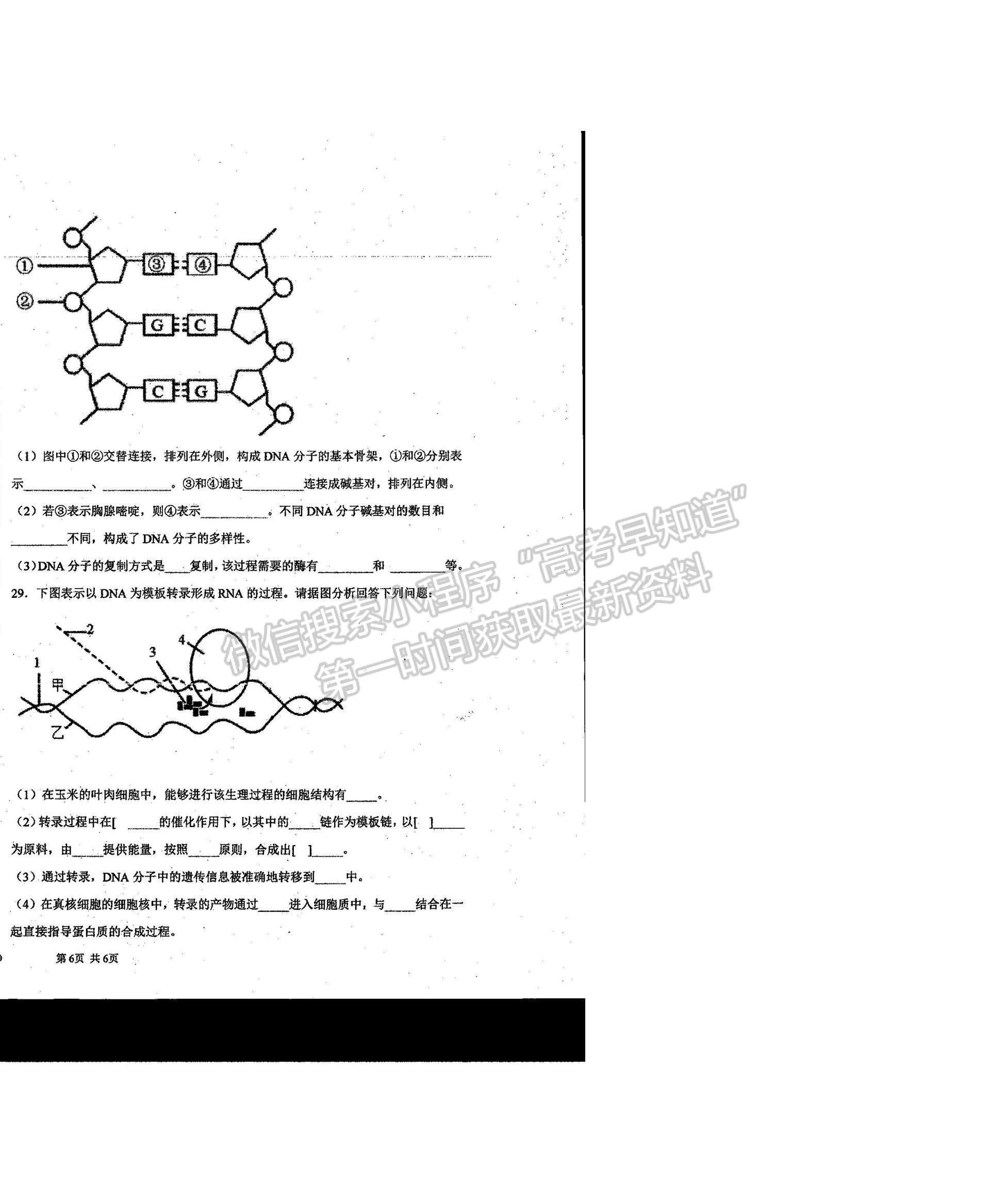 2021河南省商丘市柘城縣柘城第四高級中學高一下學期期末考試生物試題及答案