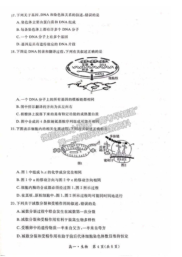 2021長(zhǎng)春市九臺(tái)區(qū)師范高級(jí)中學(xué)高一下學(xué)期期末聯(lián)考生物試題及參考答案