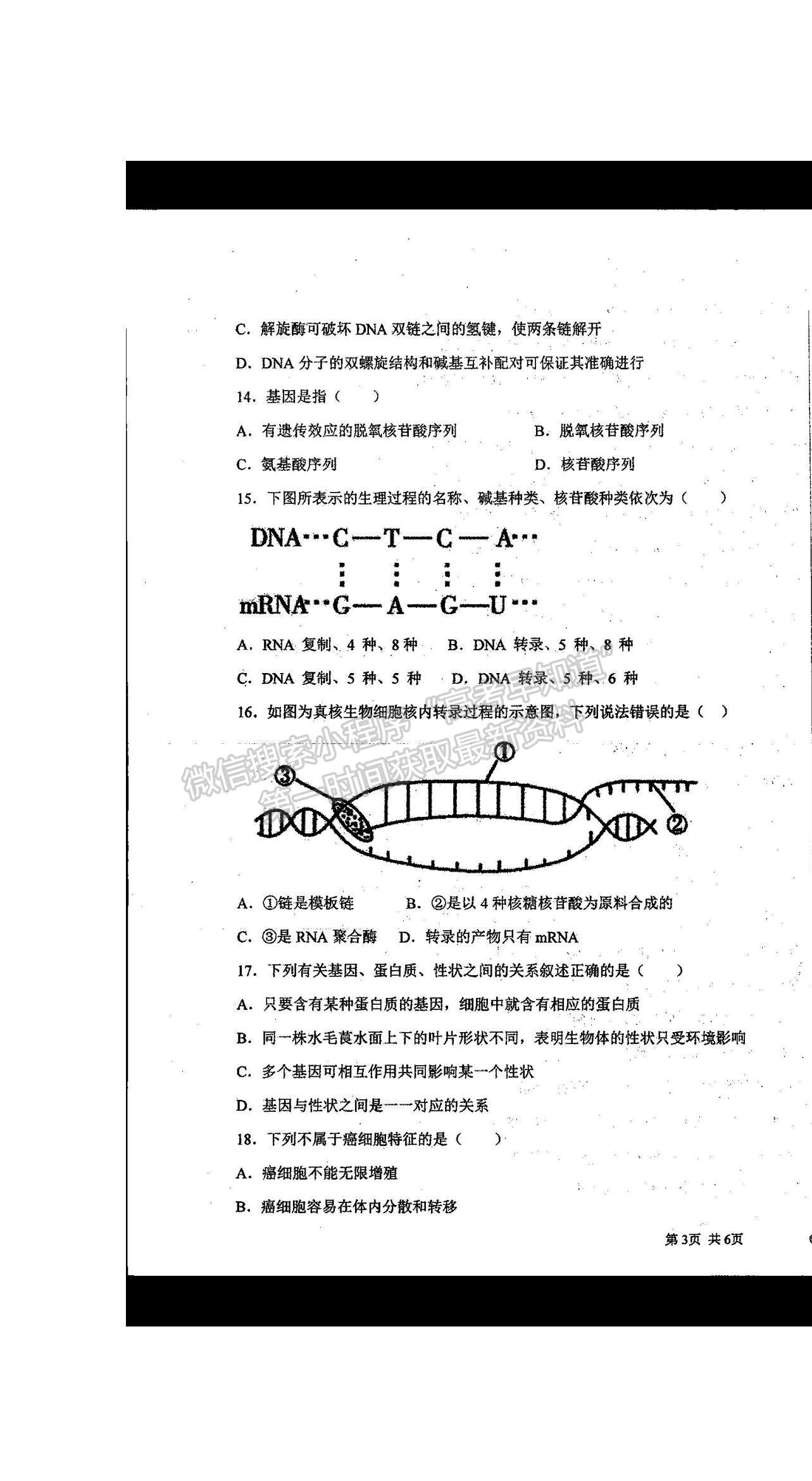 2021河南省商丘市柘城縣柘城第四高級中學高一下學期期末考試生物試題及答案