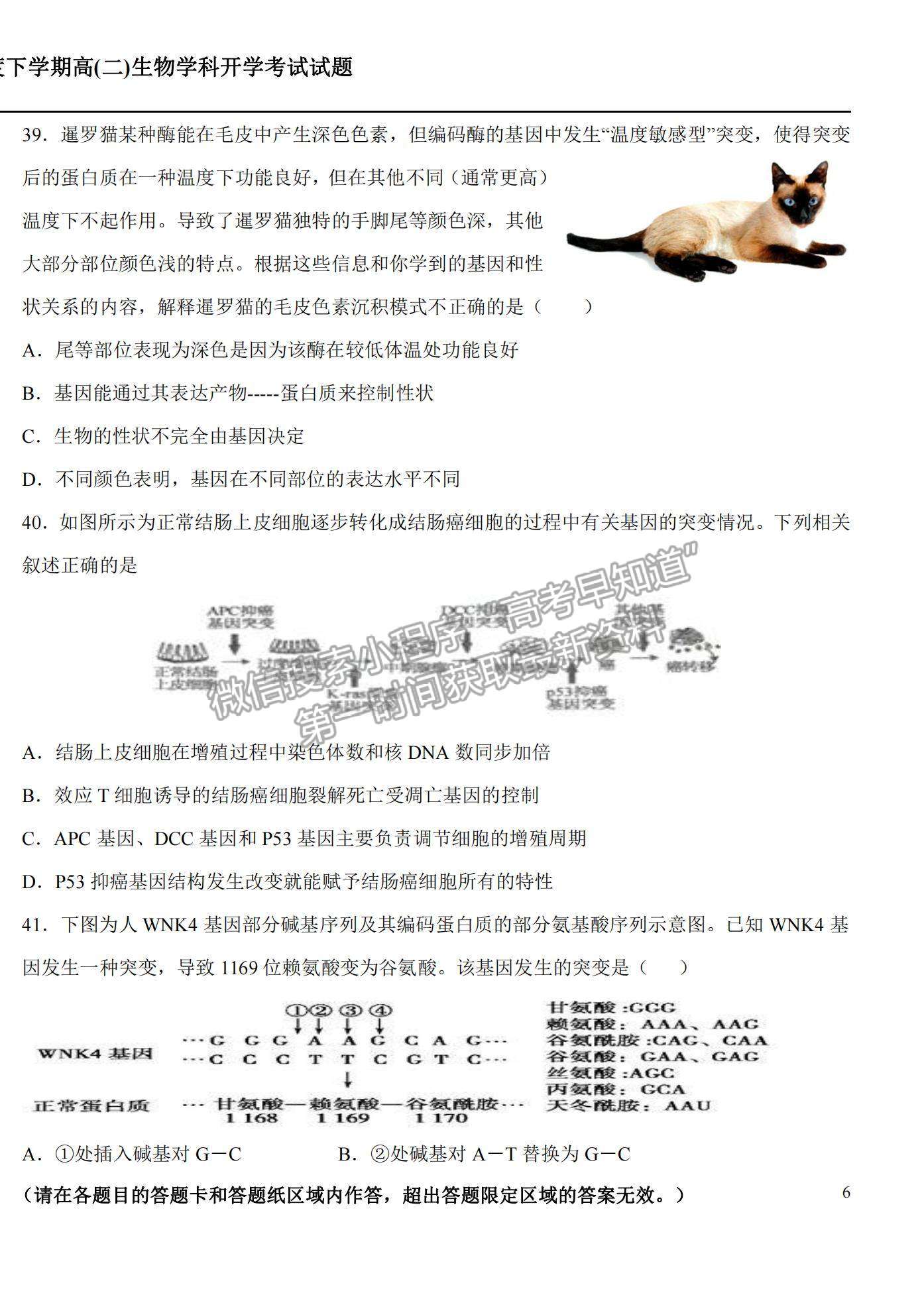 2022黑龍江雙鴨山一中高二上學(xué)期開學(xué)考試生物試題及參考答案