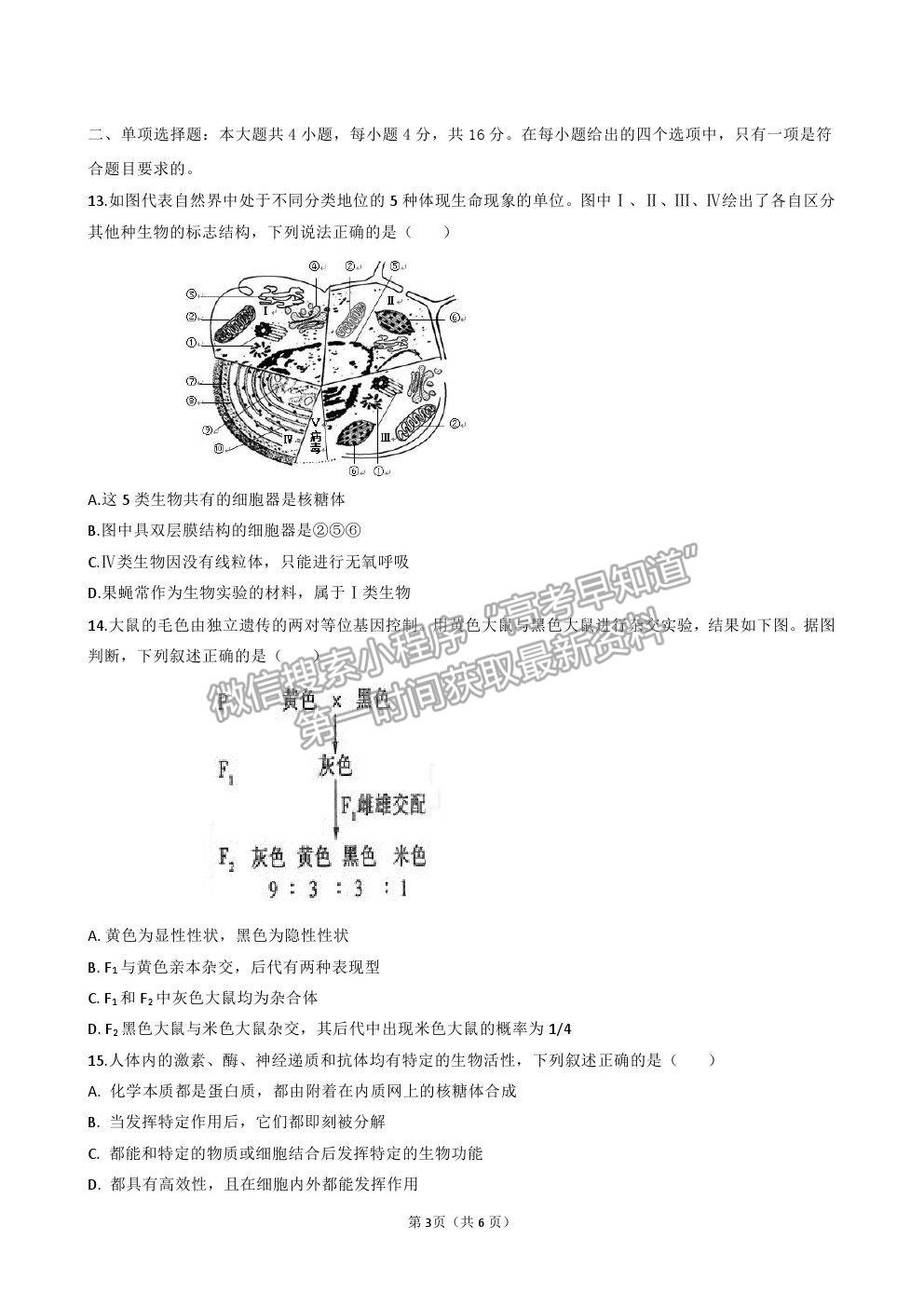 2021廣東省揭陽市揭西縣河婆中學高二上學期第一次月考生物試卷及答案