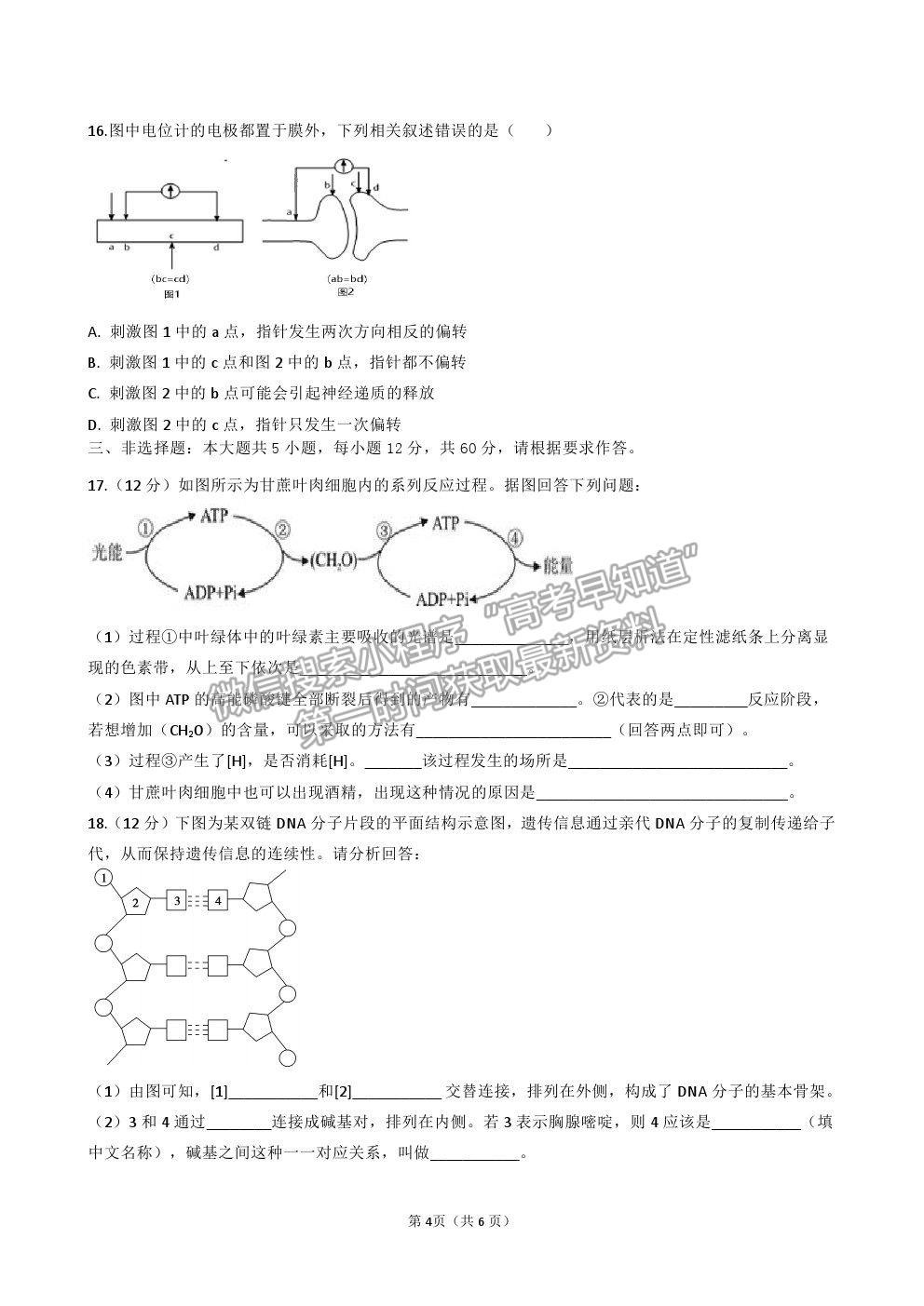 2021廣東省揭陽市揭西縣河婆中學高二上學期第一次月考生物試卷及答案