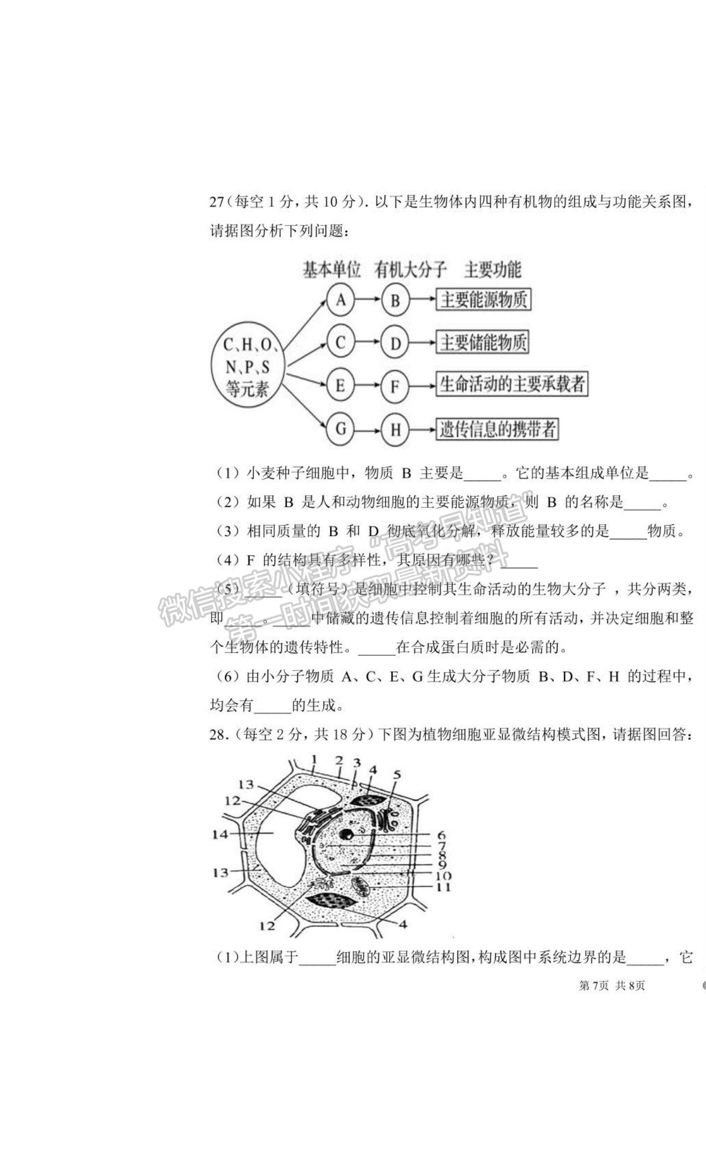 2021河南省商丘市柘城縣柘城第四高級中學(xué)高二下學(xué)期期末考試生物試題及答案