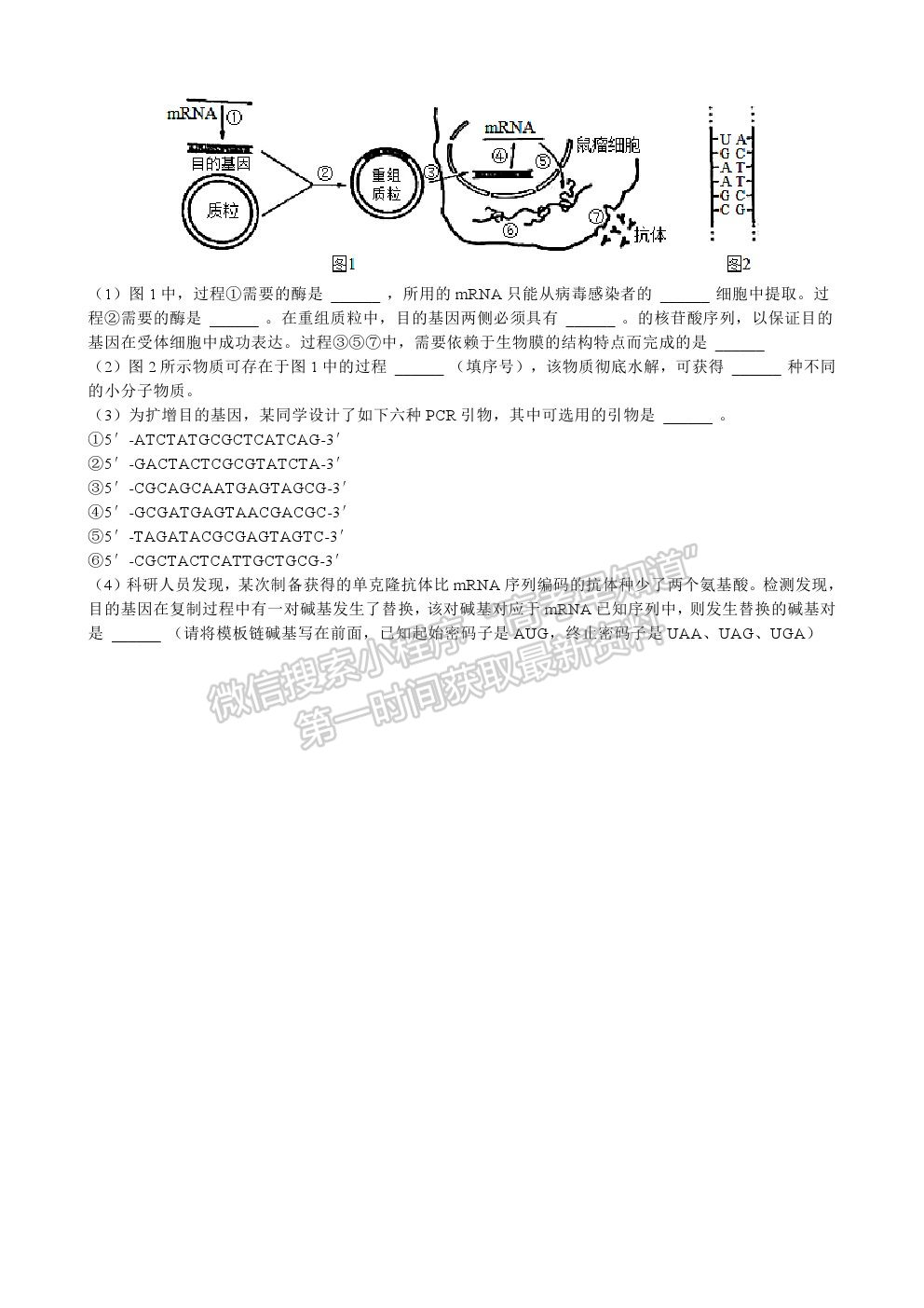 2022江蘇省宿遷市沐陽如東中學高三上學期第一次調研（線上8月）生物試卷及答案