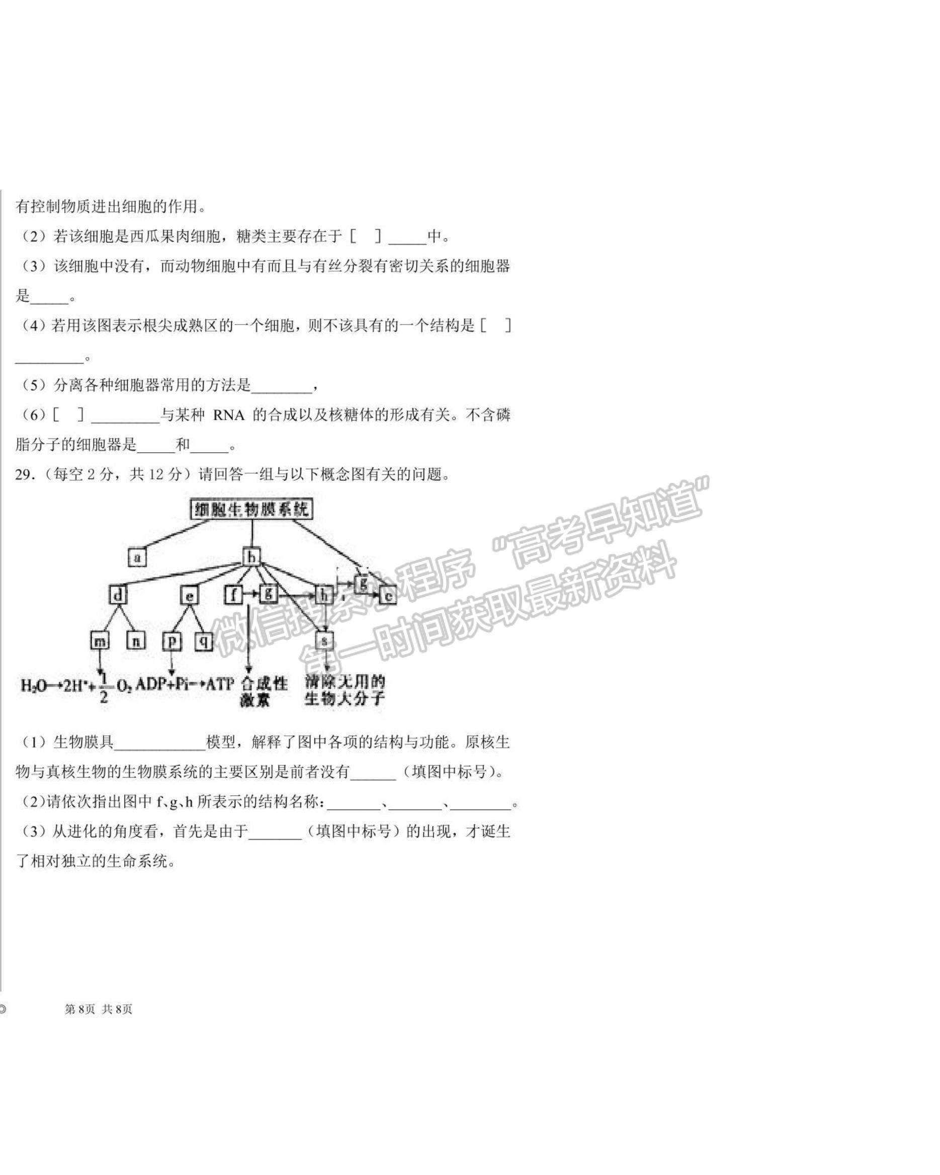 2021河南省商丘市柘城縣柘城第四高級中學(xué)高二下學(xué)期期末考試生物試題及答案