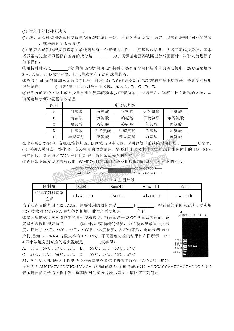 2022江蘇省宿遷市沐陽如東中學(xué)高三上學(xué)期第一次調(diào)研（線上8月）生物試卷及答案