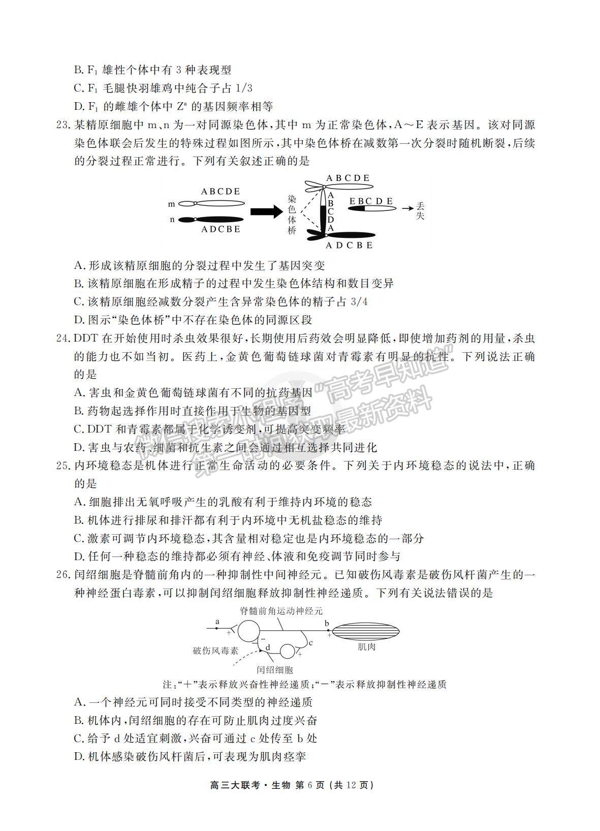 2022衡水聯(lián)考新高三摸底聯(lián)考生物試卷及答案