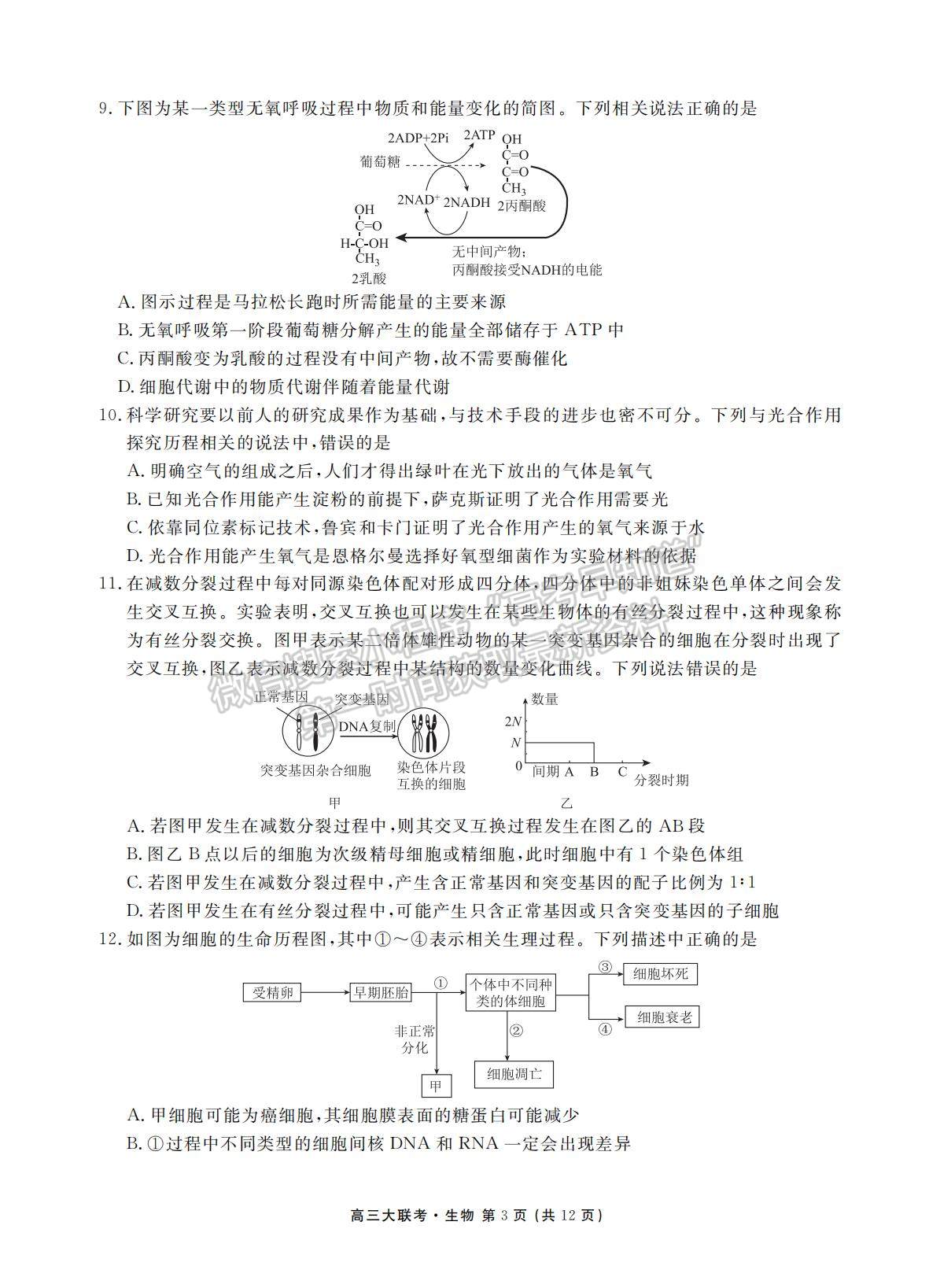 2022衡水聯(lián)考新高三摸底聯(lián)考生物試卷及答案