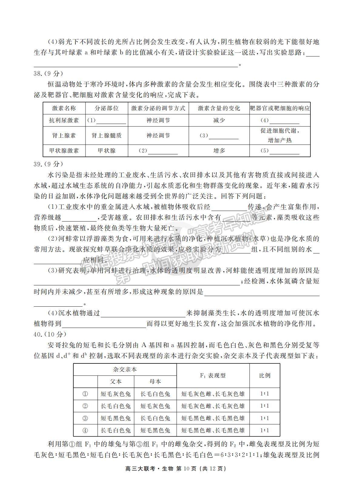 2022衡水聯(lián)考新高三摸底聯(lián)考生物試卷及答案