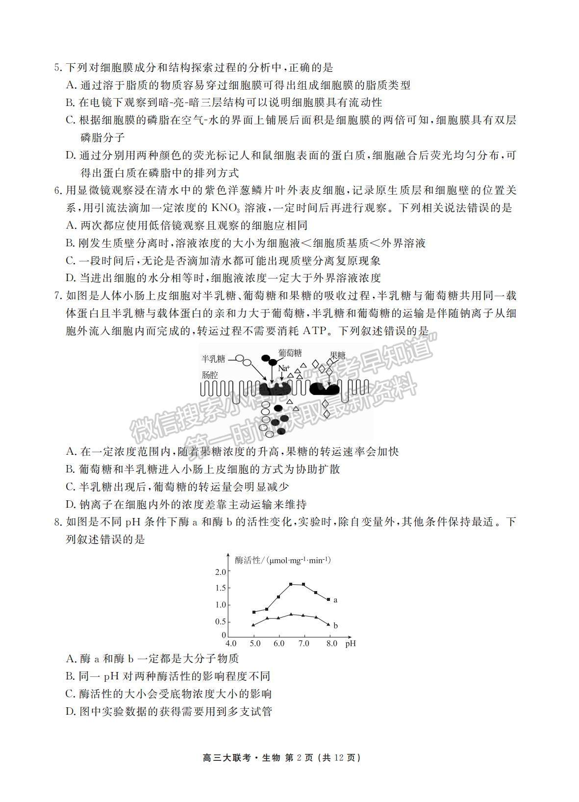 2022衡水聯(lián)考新高三摸底聯(lián)考生物試卷及答案