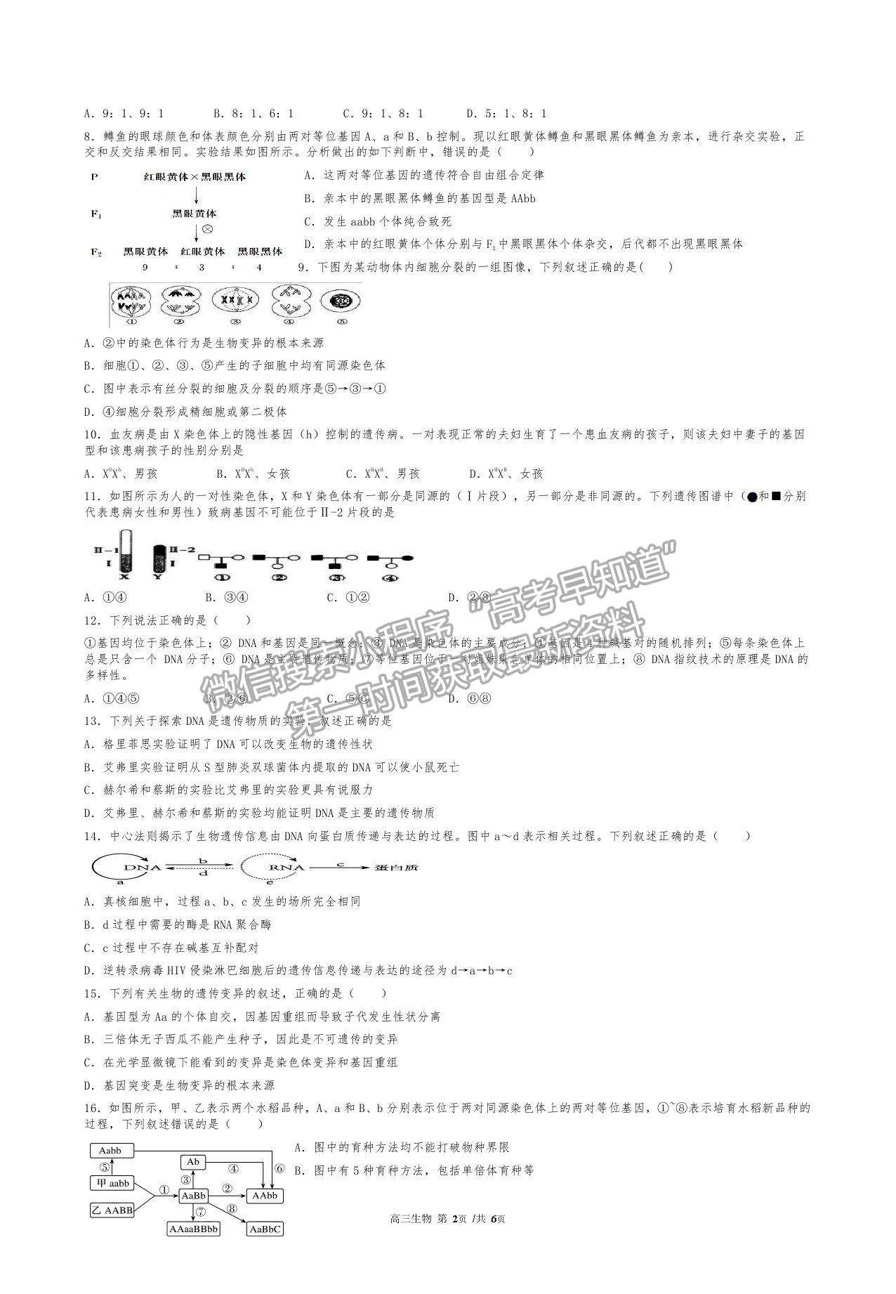 2022寧夏青銅峽市高級中學(xué)高三上學(xué)期開學(xué)考試生物試卷及答案