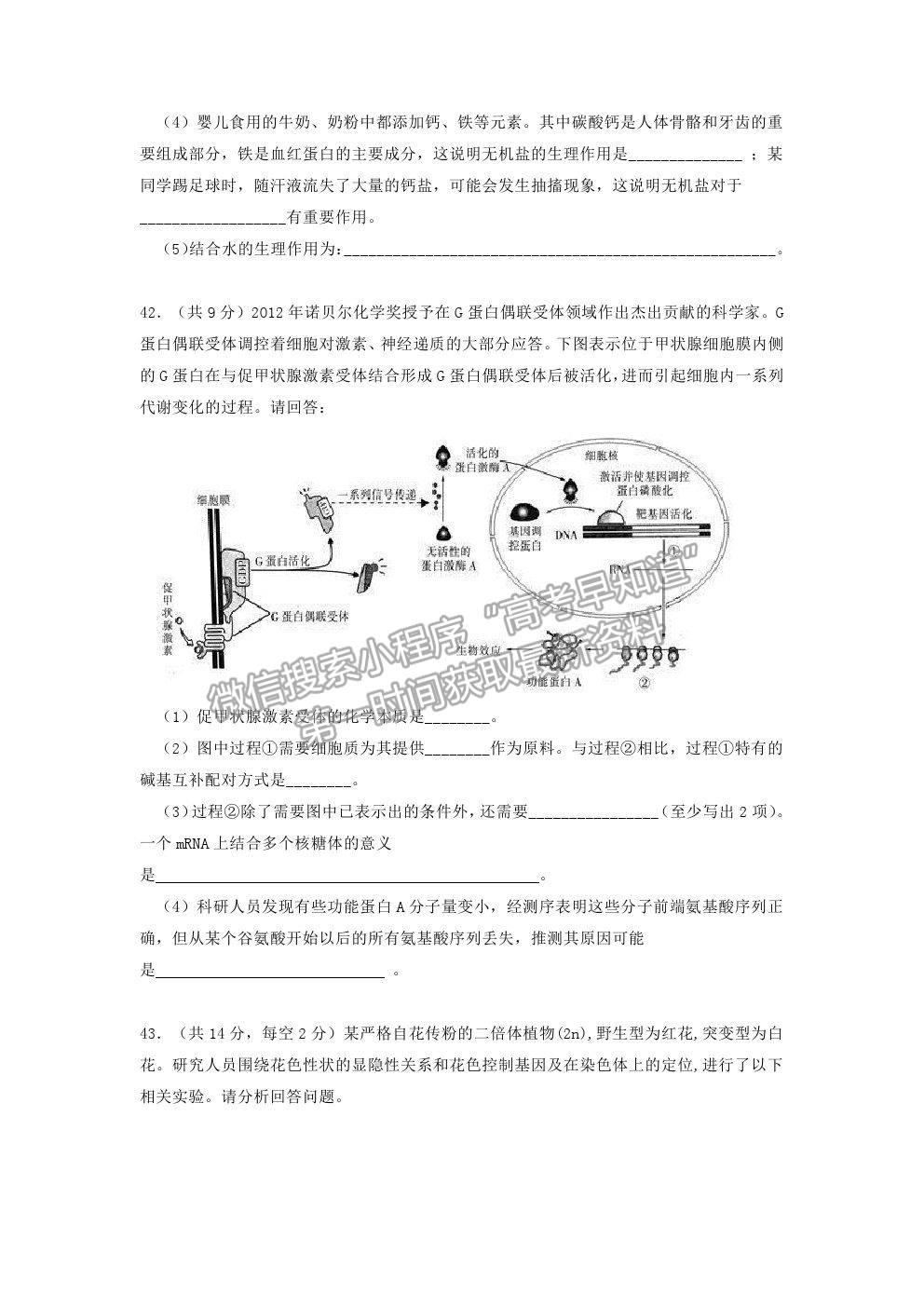 2022黑龍江省大慶鐵人中學(xué)高三上學(xué)期開(kāi)學(xué)考試生物試題及參考答案