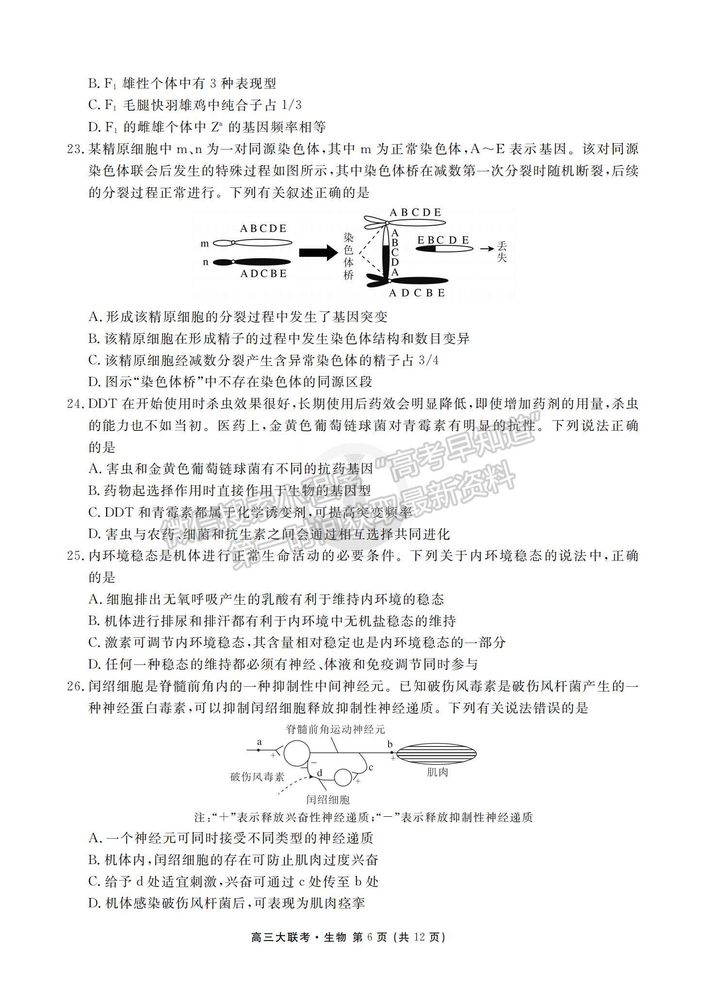 2022衡水中學(xué)高三8月大聯(lián)考生物試卷及答案