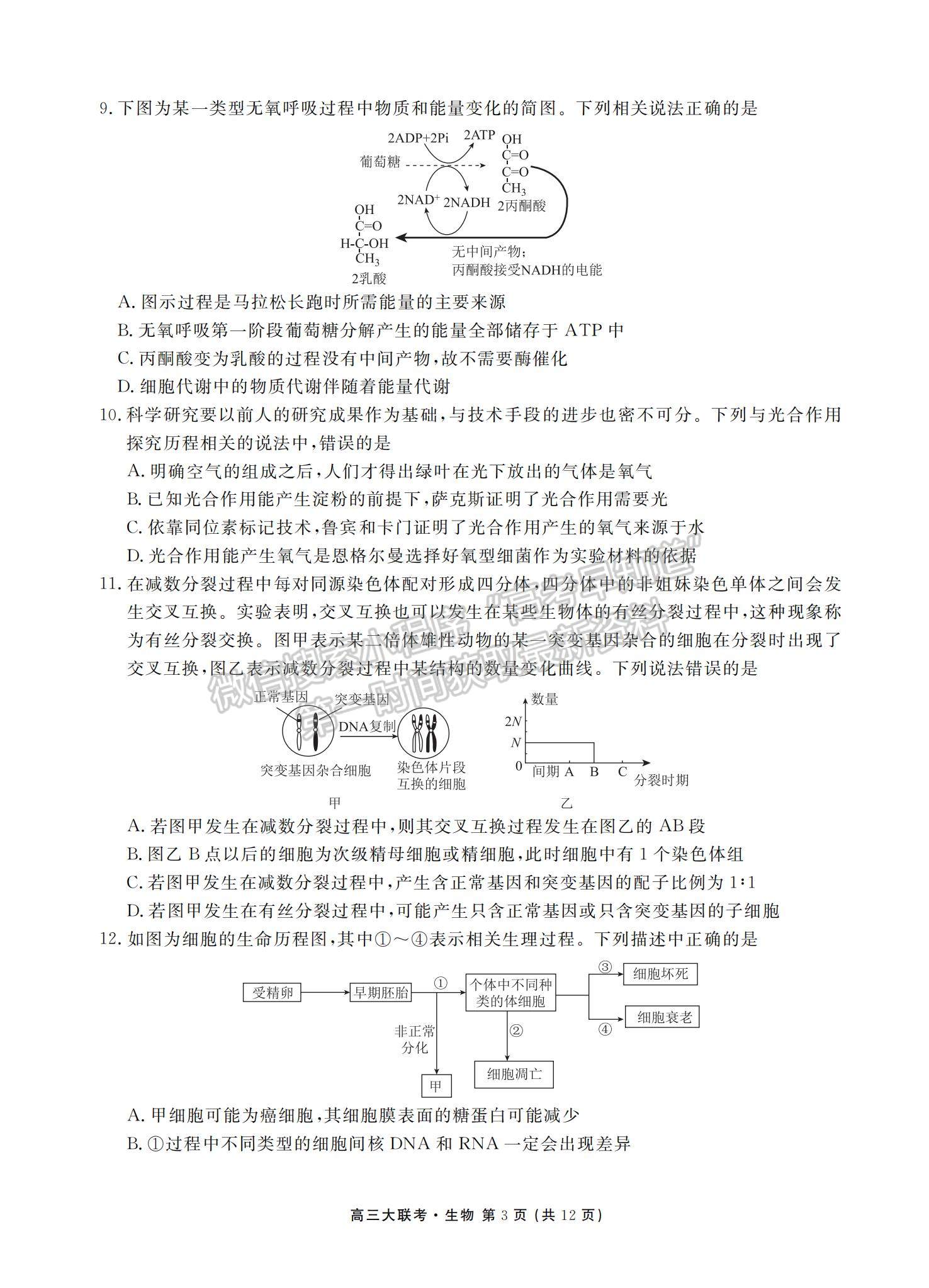 2022衡水中學(xué)高三8月大聯(lián)考生物試卷及答案