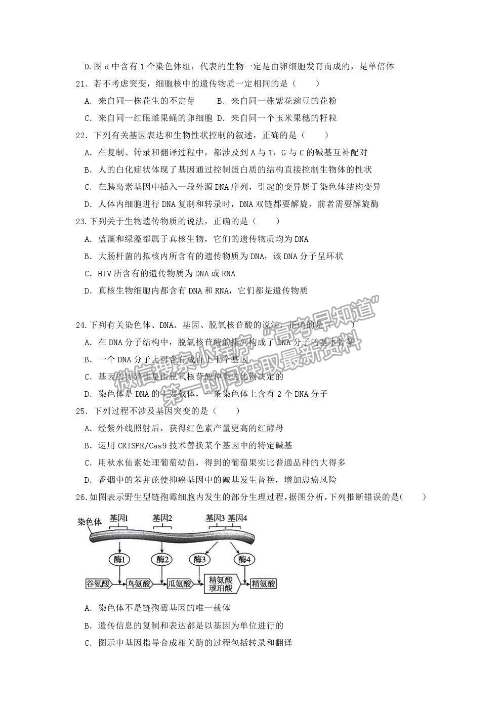 2022黑龍江省大慶鐵人中學(xué)高三上學(xué)期開學(xué)考試生物試題及參考答案