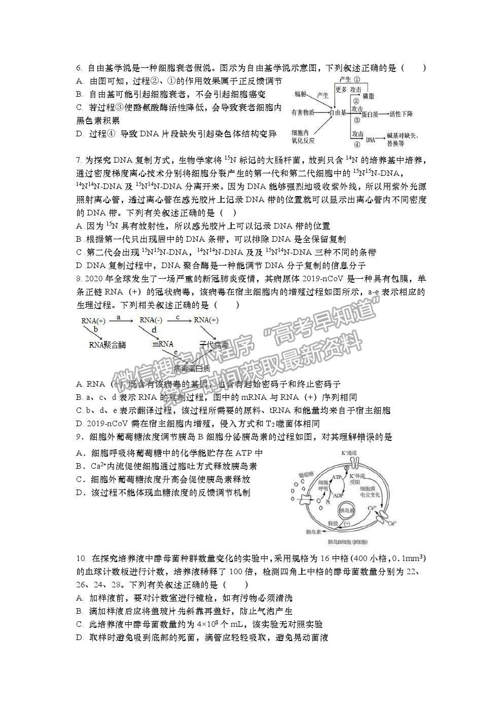 2022江蘇省如皋中學(xué)高三上學(xué)期期初測試生物試卷及答案