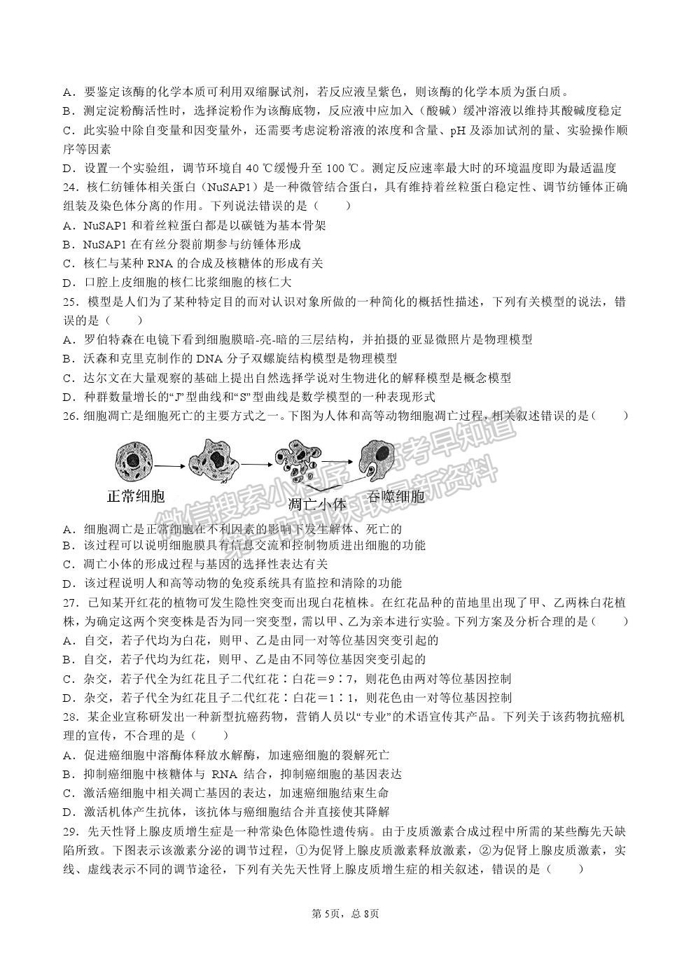 2022河南省信陽高級中學高三暑假考試生物試卷及答案