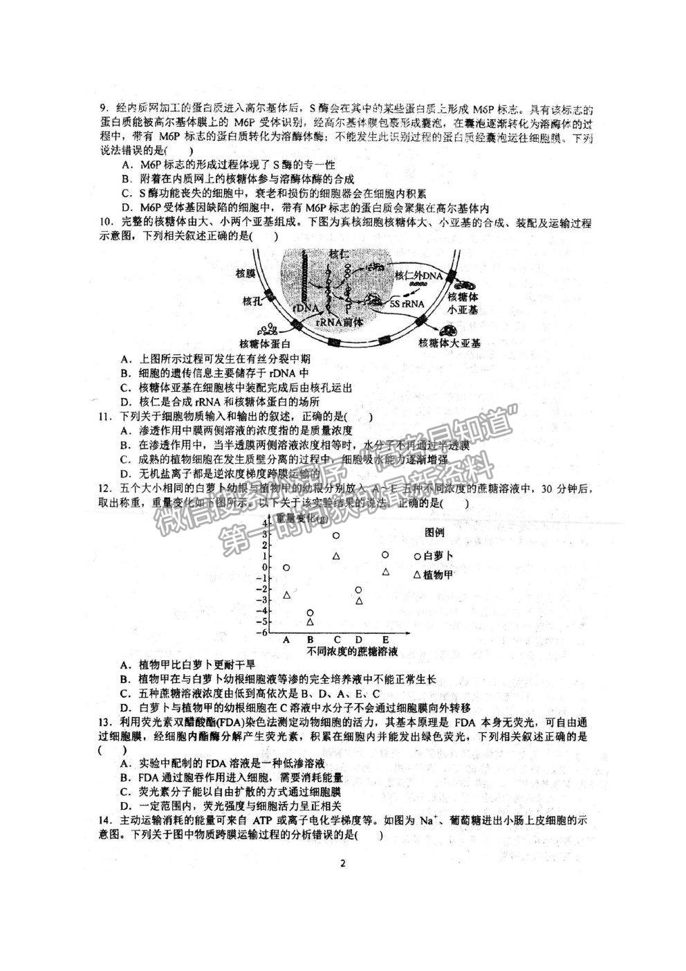 2022安徽省泗縣一中高三上學期開學考試生物試卷及答案