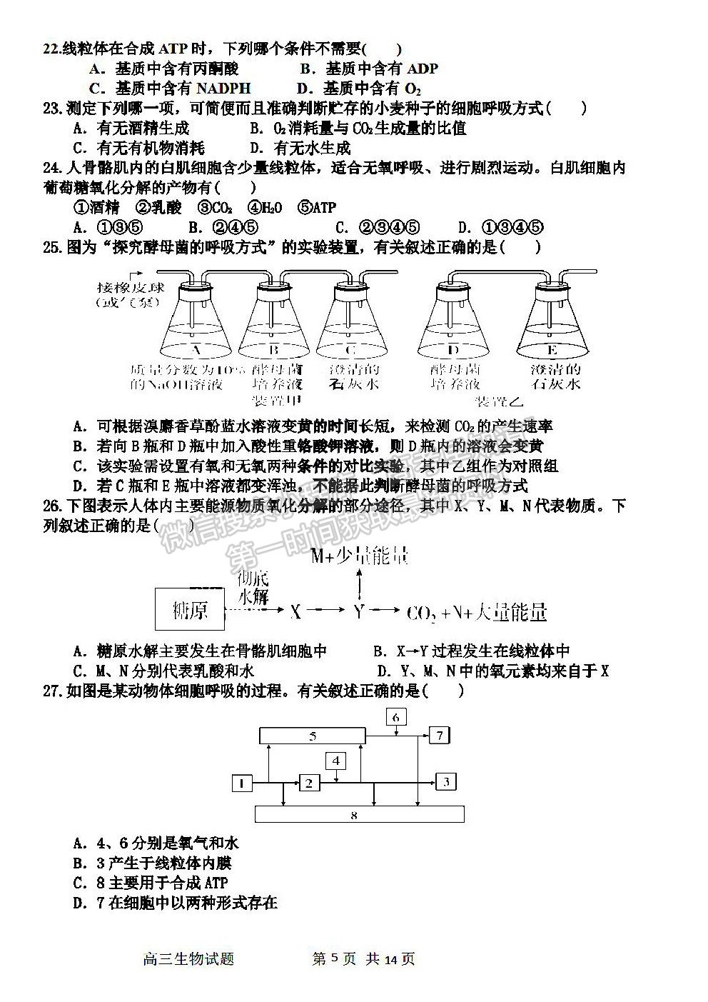 2022哈爾濱三中高三第一次驗收考試生物試卷及答案