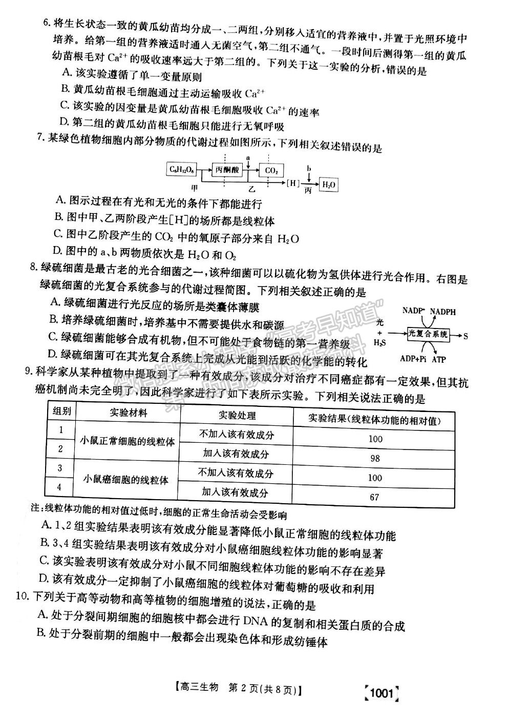 2022甘肅省靖遠縣高三上學期開學考試生物試卷及答案