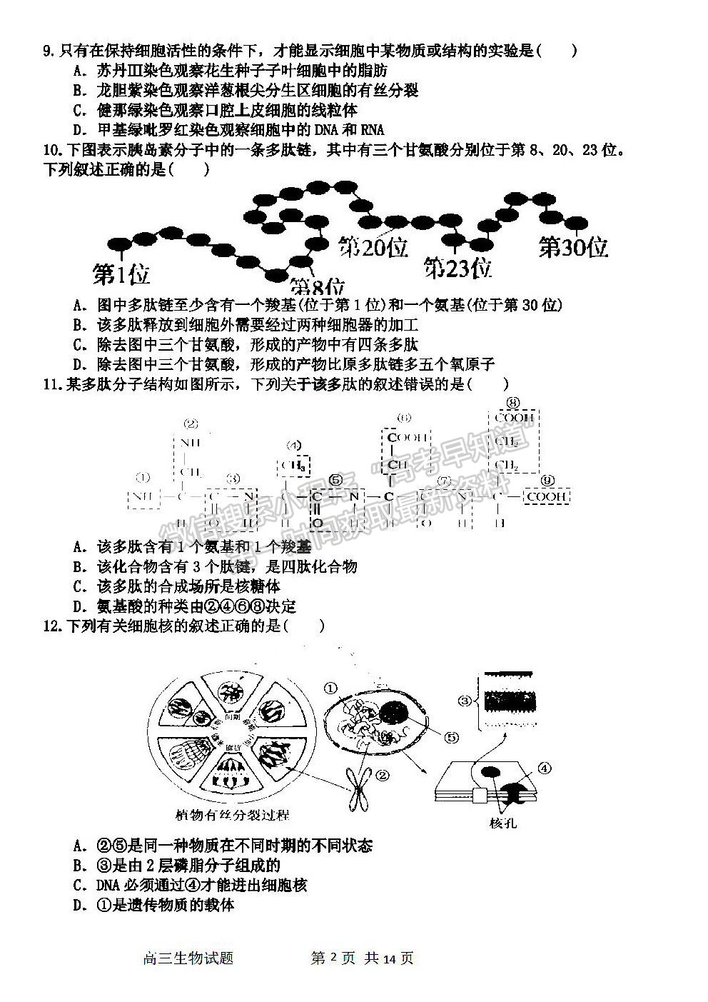 2022哈爾濱三中高三第一次驗收考試生物試卷及答案