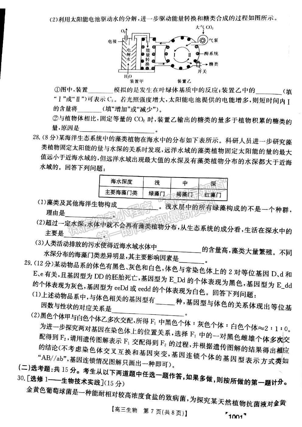 2022甘肅省靖遠縣高三上學期開學考試生物試卷及答案