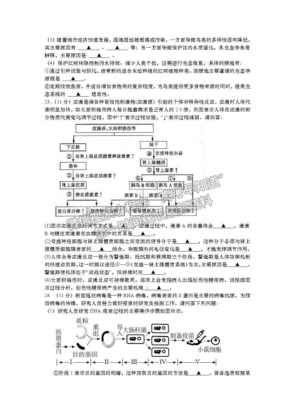 2022江蘇省如皋中學(xué)高三上學(xué)期期初測試生物試卷及答案