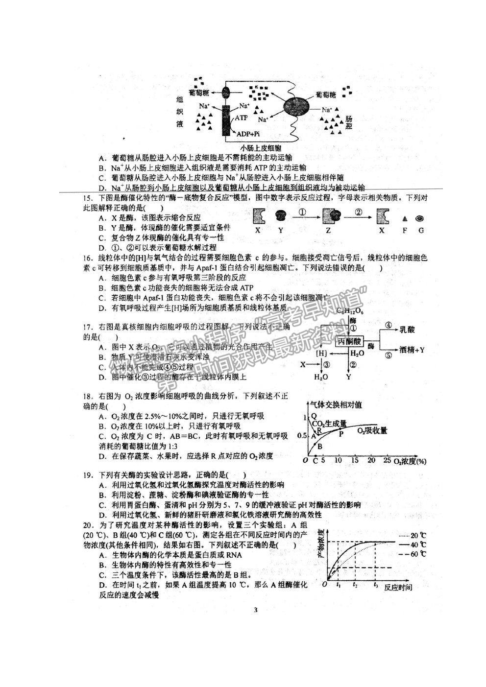 2022安徽省泗縣一中高三上學期開學考試生物試卷及答案