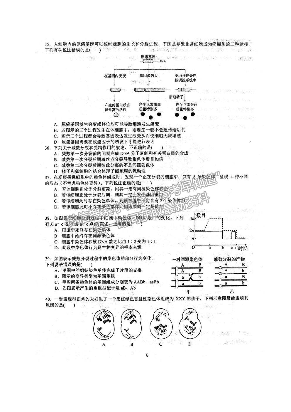 2022安徽省泗縣一中高三上學(xué)期開學(xué)考試生物試卷及答案