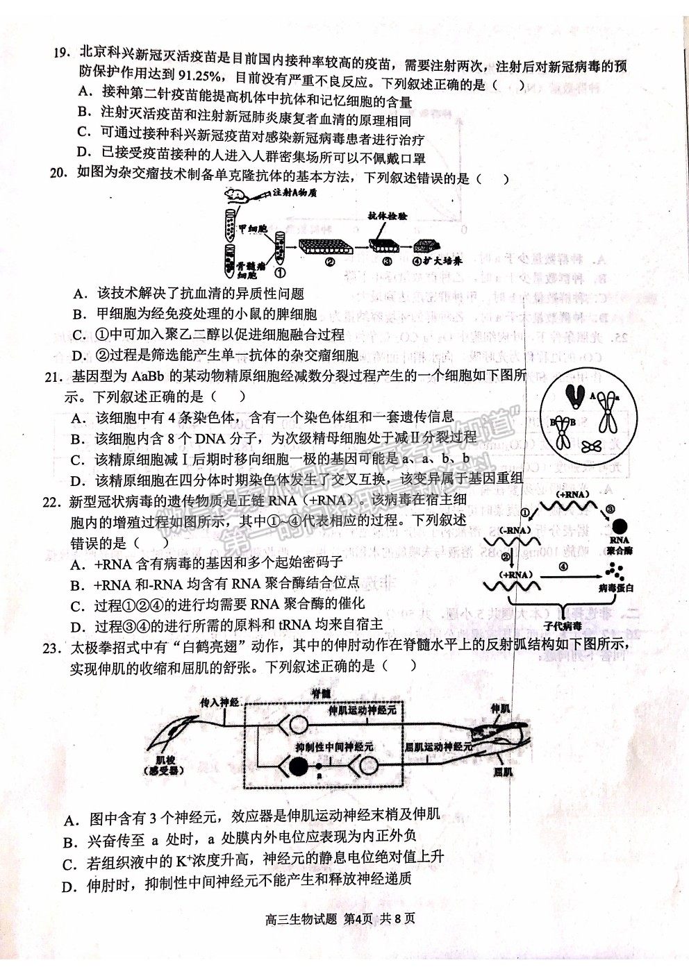 2022浙江省“七彩陽光”新高考研究聯(lián)盟高三上學(xué)期返?？荚嚿镌嚲砑按鸢?title=