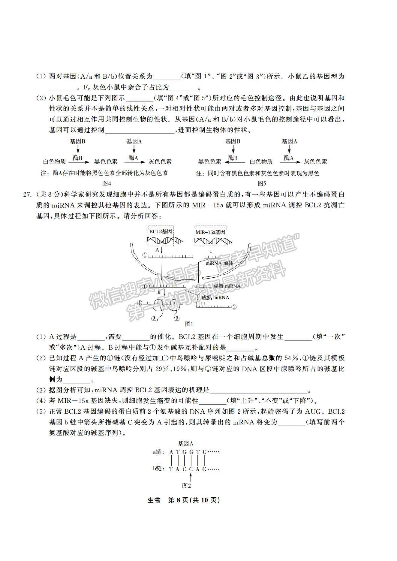 2021合肥六中高一下學(xué)期期末考試生物試題及答案